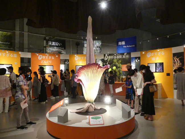 P6690203