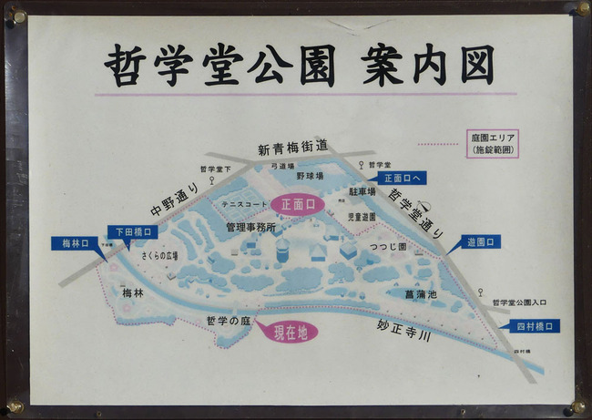 P5990233