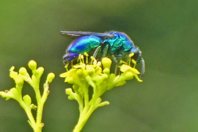 P4570668