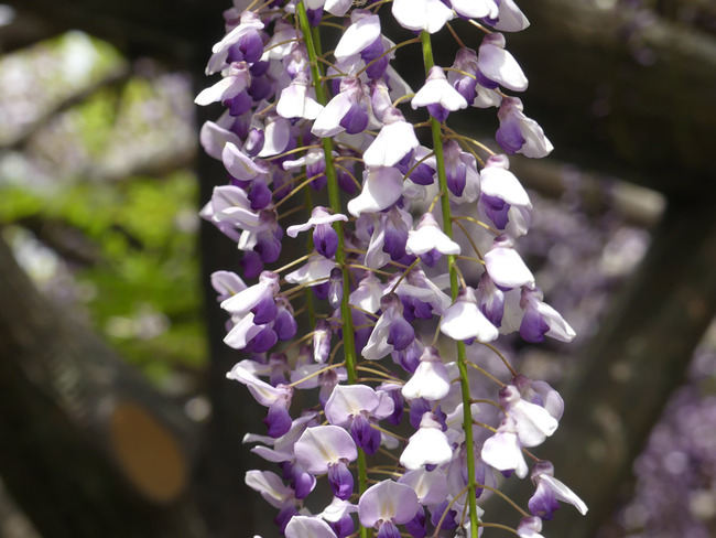 P7760114