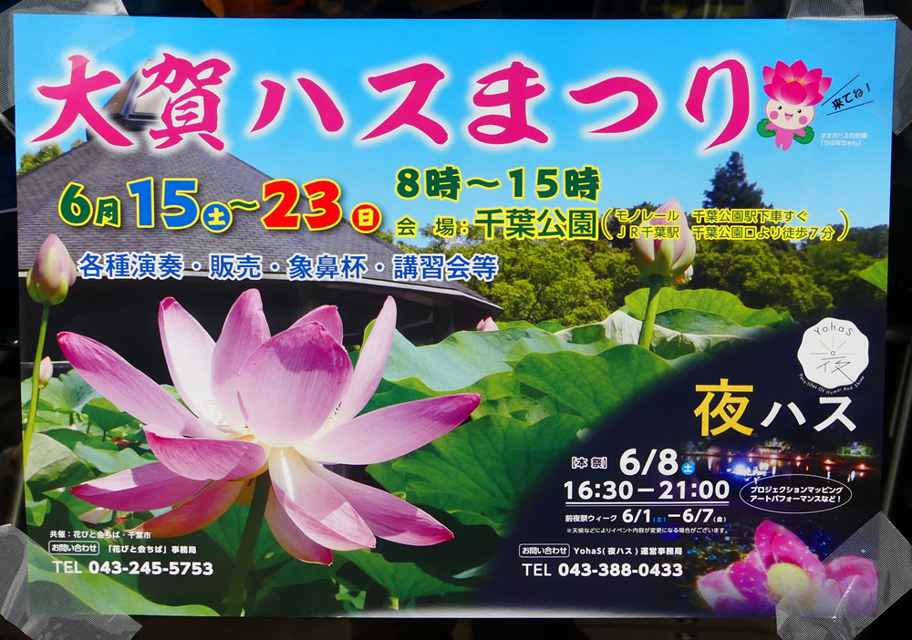 大賀ハスまつり 四季の風2