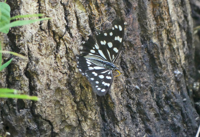 P3400500