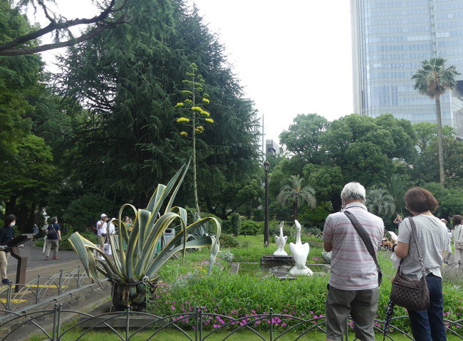 P2010064
