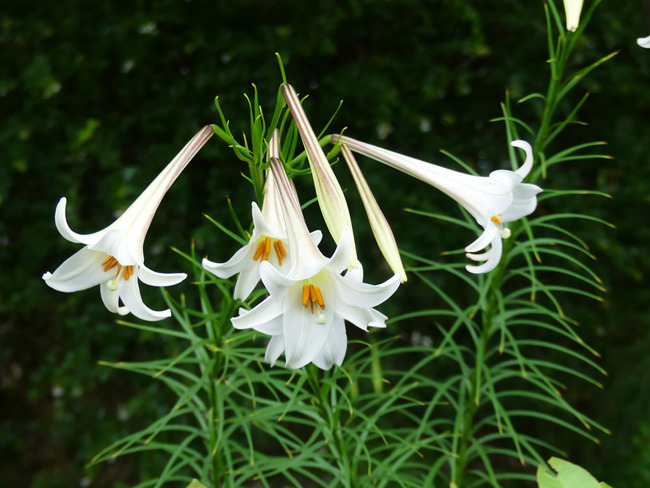 P5360339