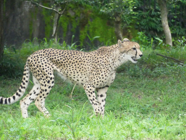 P4980478_edited-1