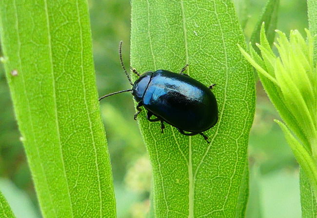 P5310074