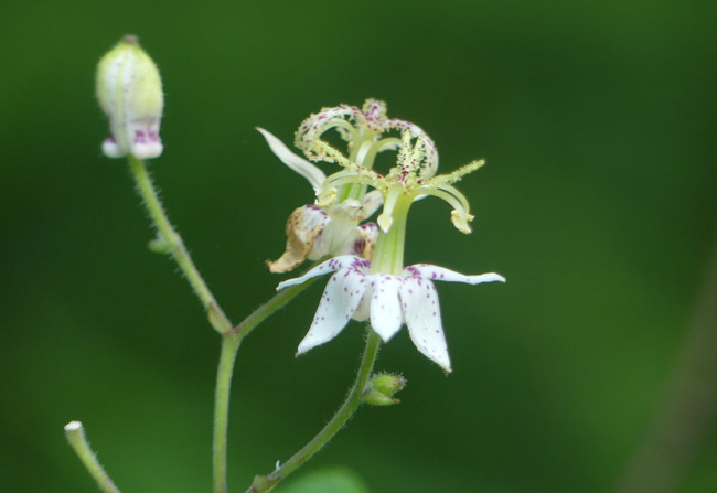 P6710569
