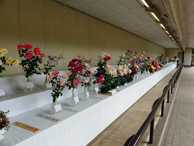 P3920988