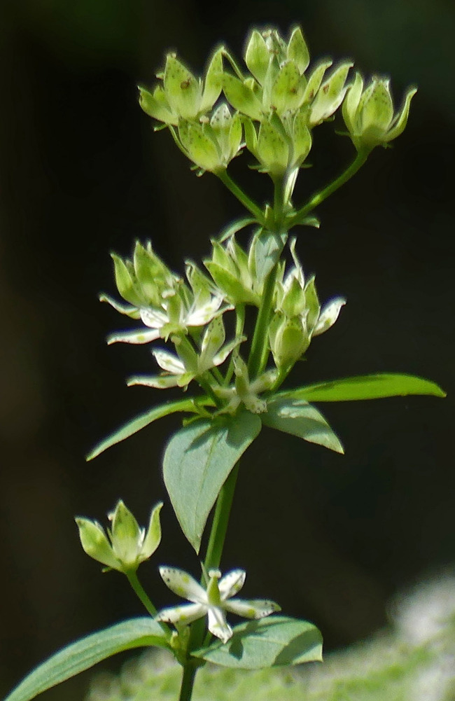 P5670148