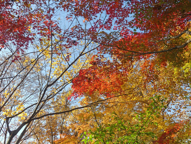 P3660501