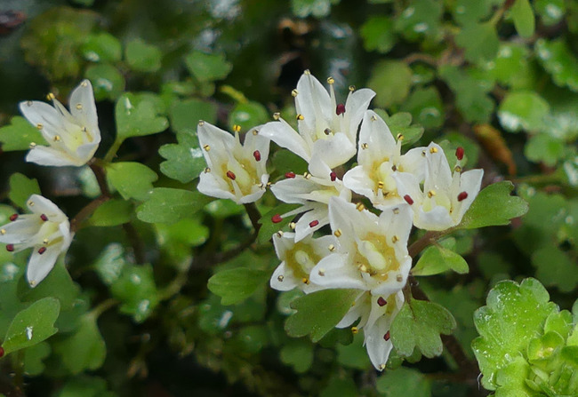 P1600203