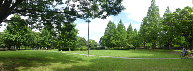 P1920274