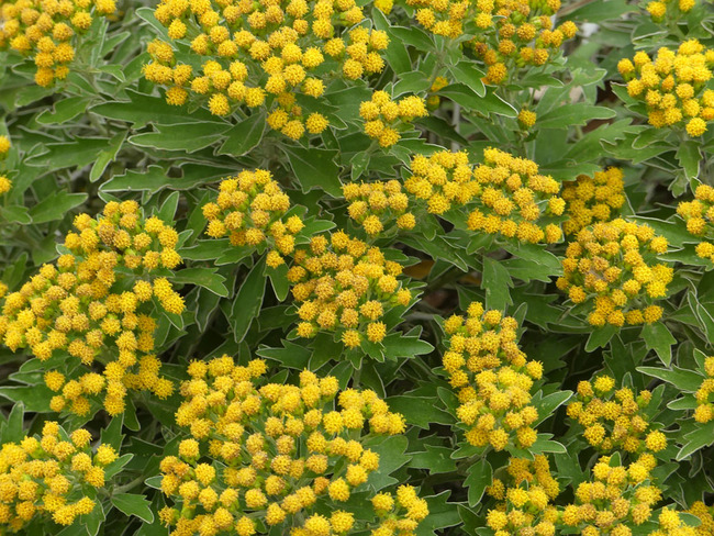 P5670756
