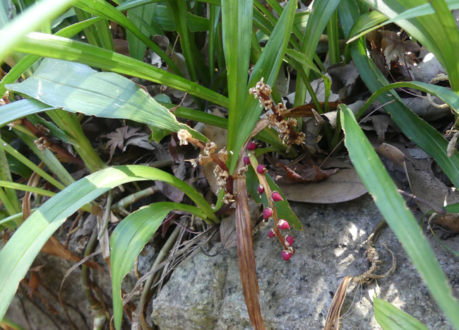 P5980397