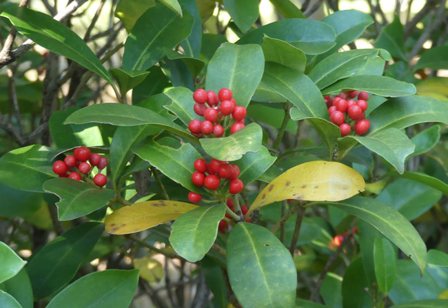 P4070577