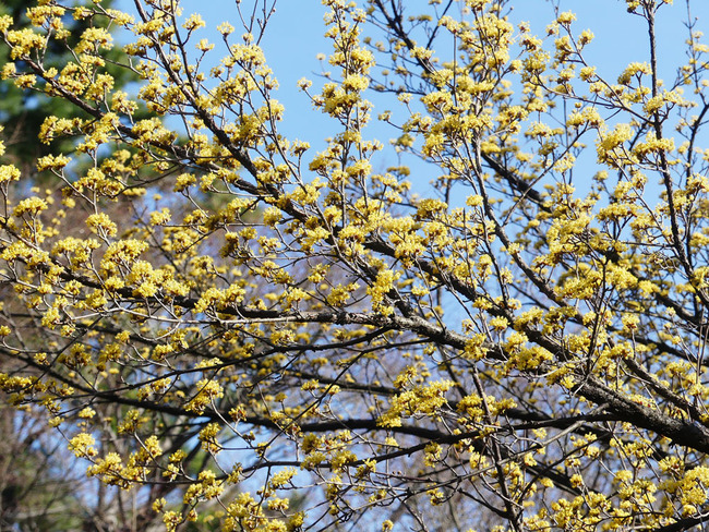 P5990184