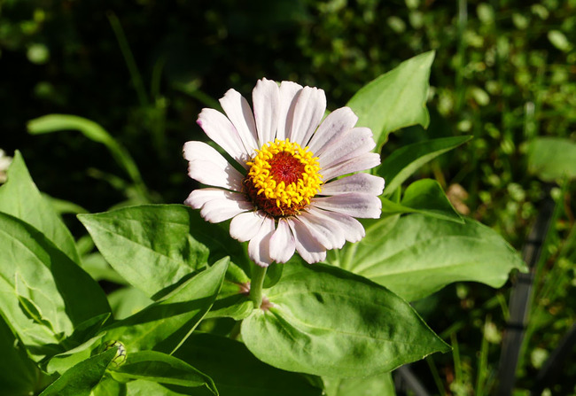 P6700059