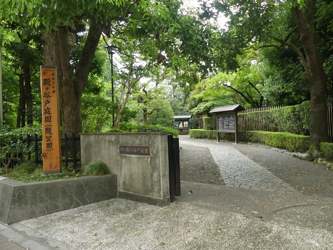 P4490829_edited-1