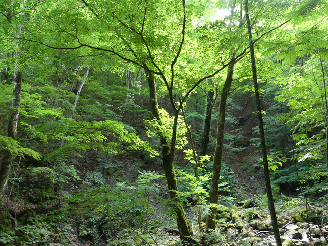 P6550646