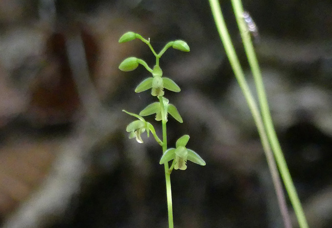 P6550717