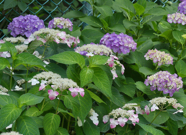 P3100204