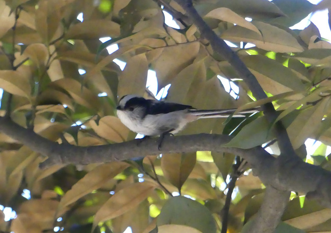 P3090950_edited-1
