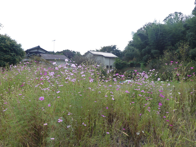 P1050404