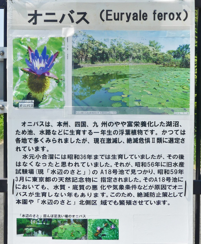P3380718