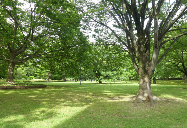 P1920268