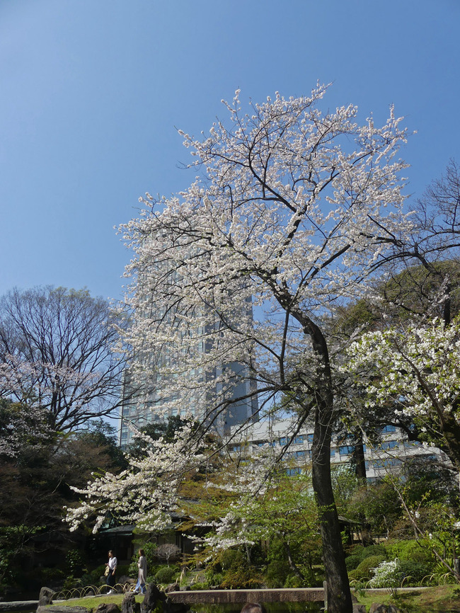 P1640022