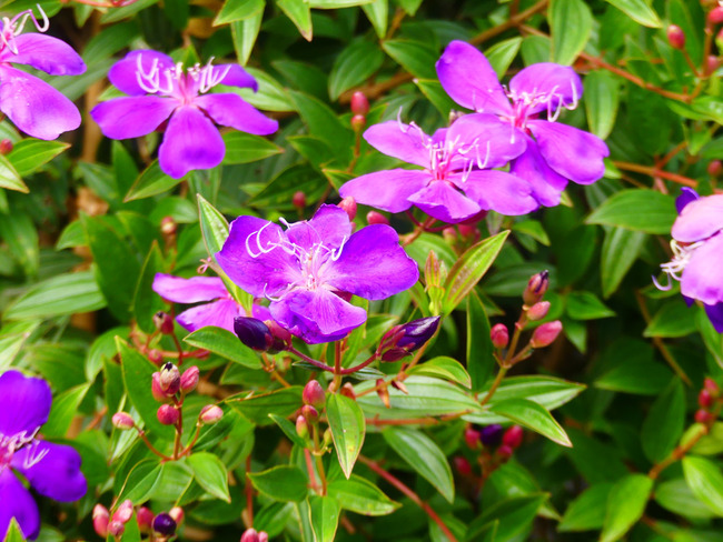 P4230858