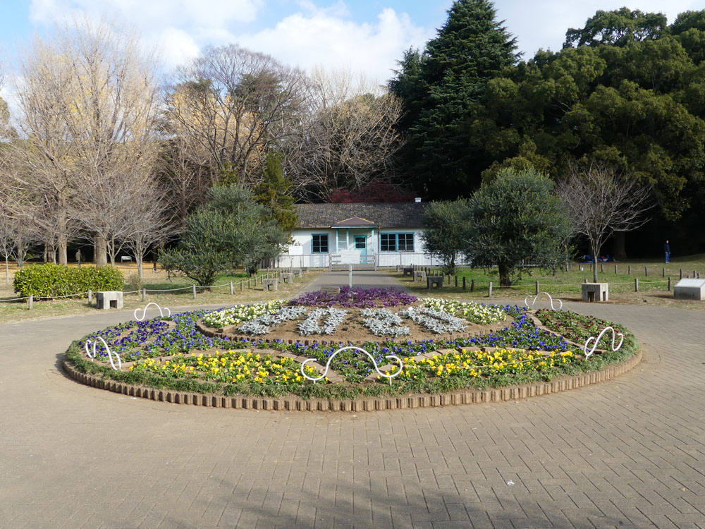 代々木公園に冬鳥 四季の風2 代々木公園に冬鳥 四季の風2
