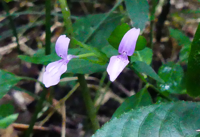P1000358