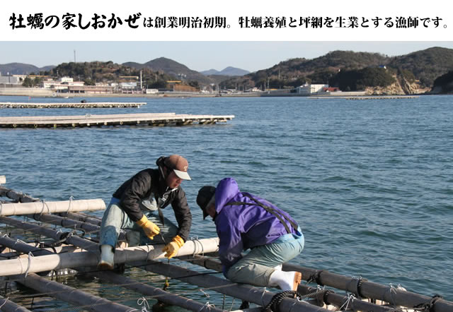 牡蠣の家しおかぜの想い