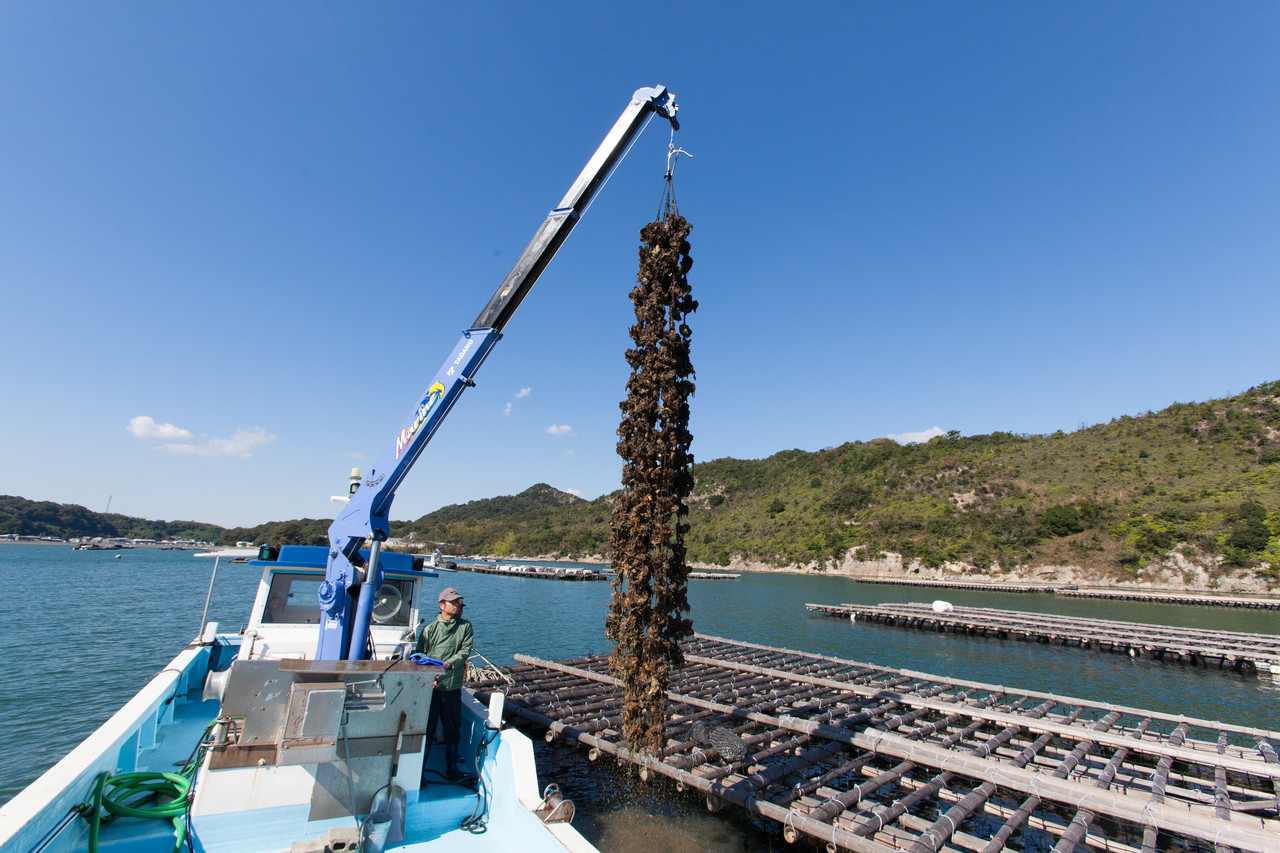 スライドショー18