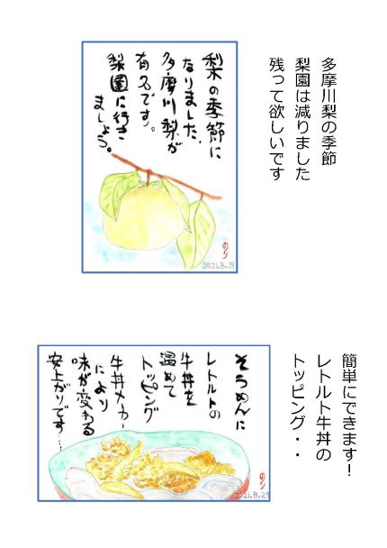 にぎやかギャラリー園芸コーナー絵手紙(2021年11月14日)野菊(2021.11.14)