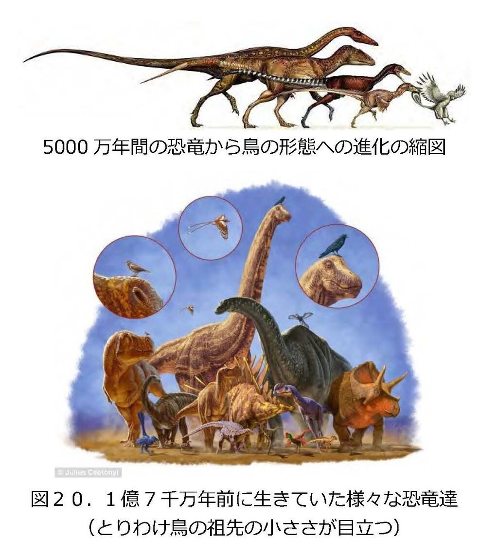 実は 恐竜の生き残り (貴重なアーカイブ) です。。。と か げ 鳥は恐竜の生き残り(2023.8.13) : にぎやかギャラリー