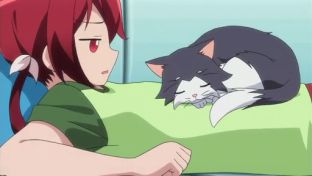 dande04nuko