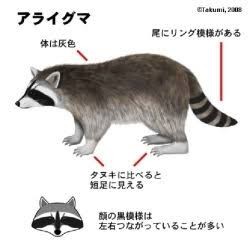 notitle
