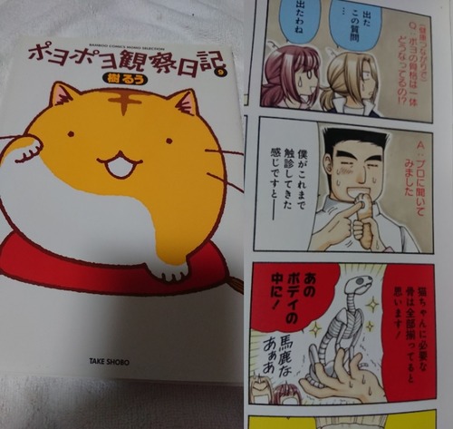 notitle