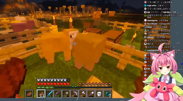 bandicam 2019-02-16 23-50-26-152