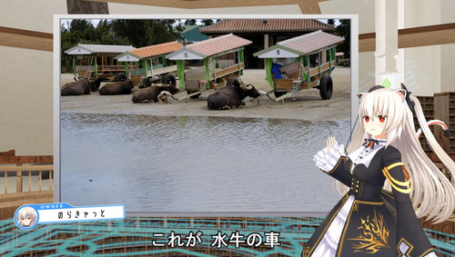 notitle
