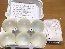 notitle