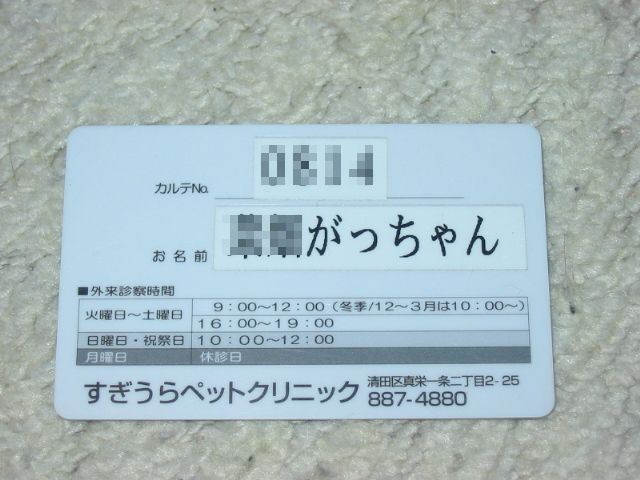 がっちゃん がっちゃんとしては Gaku Kogomi北海道life