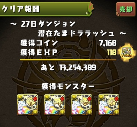 49254
