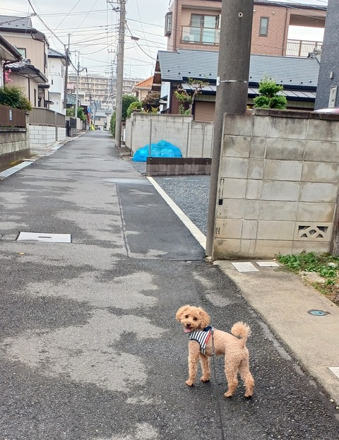 20231005_085726