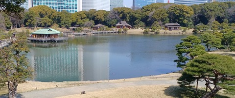 20240316_103342