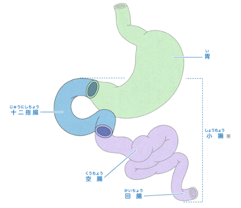 graph_karada014_01b