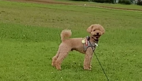 20240630_08390000h00m14s16