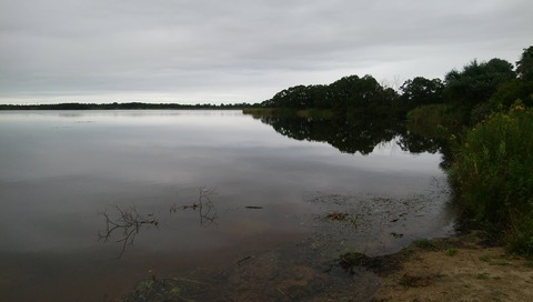 DSC_1733
